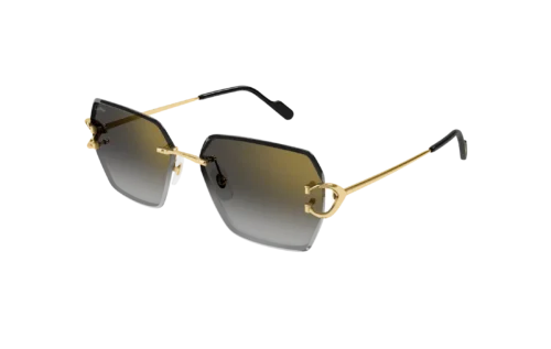 Cartier - CT0466S-001