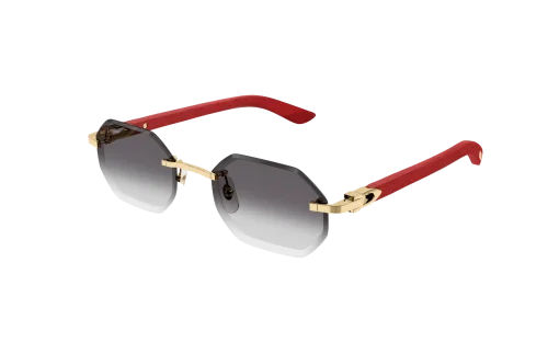 Cartier - CT0439S